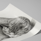 Jean Bernard - Rolled Up Lying Sleeping Cat - Print Your Own Fine Art