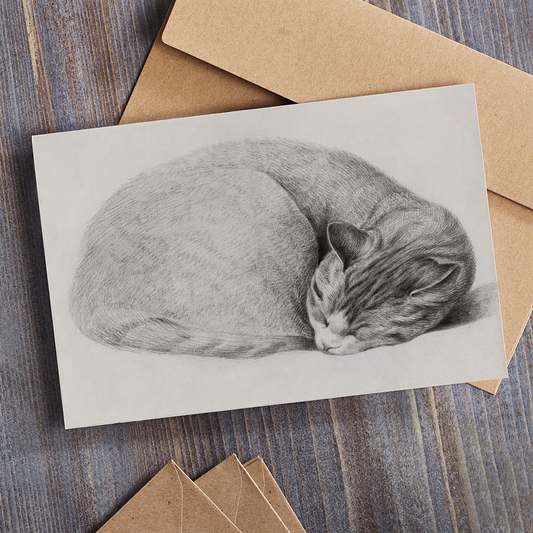 Jean Bernard - Rolled Up Lying Sleeping Cat Greeting Card